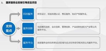现代服务业科技中介服务政策申报实操指南 从入门到精准申报
