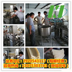 厂价直销宏大仿手工豆腐皮机 厂家上门安装调试，免费技术培训与科技中介服务详解